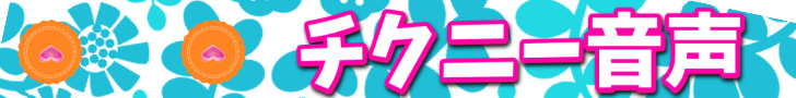 �������߃`�N�j�[����